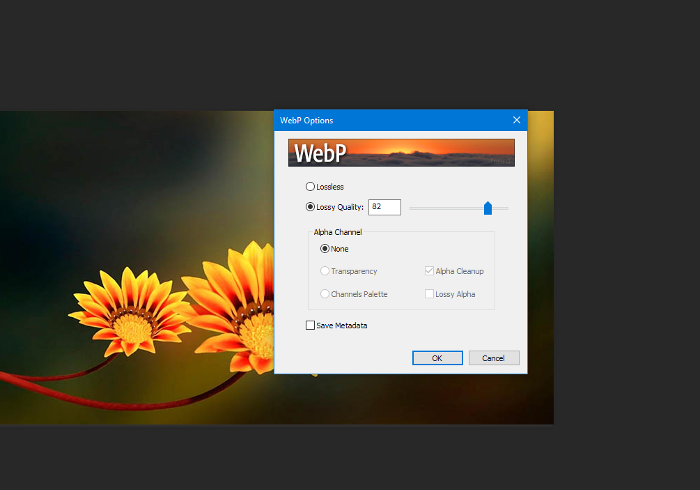 Webp to jpg converter